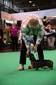 Crufts2011_2 1641